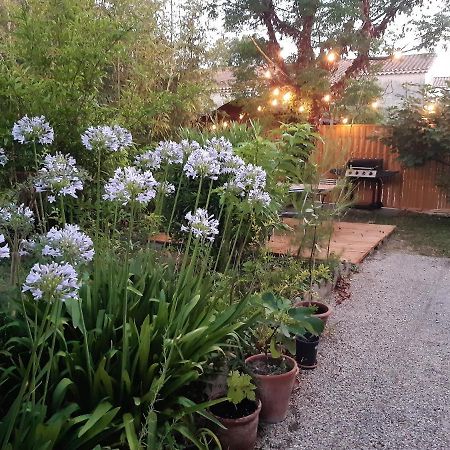 Villa " Les Bambous " , Jardin , Terrasse , Climatisation , Wifi , Parking Avignon Exteriör bild